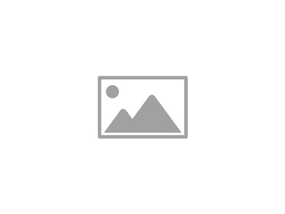 Logo brenda – B&G